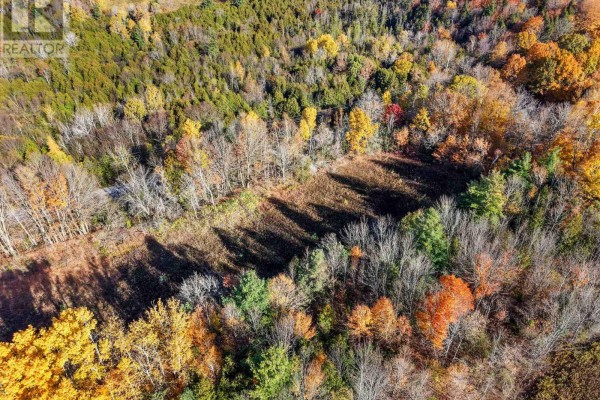 A2 Pipeline Road, Cramahe, ON K0K1M0 Photo 4