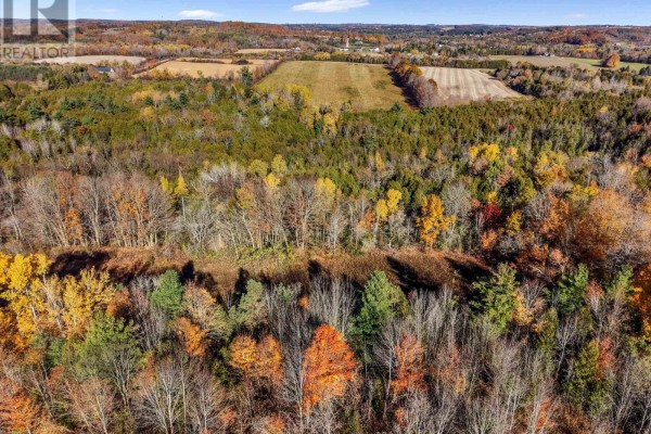 A2 Pipeline Road, Cramahe, ON K0K1M0 Photo 5