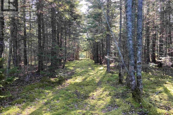 Acerage Seaview Rd, Seaview, NS B0E3B0 Photo 3