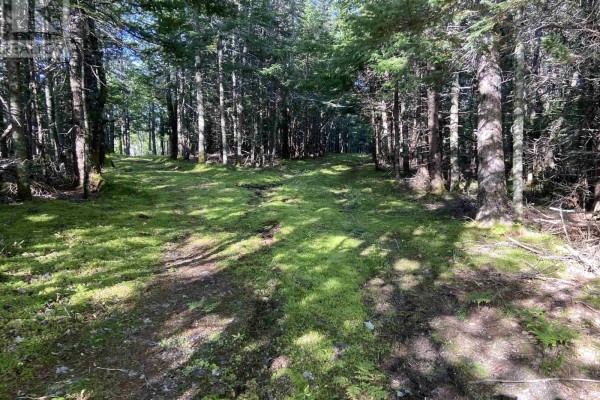 Acerage Seaview Rd, Seaview, NS B0E3B0 Photo 5