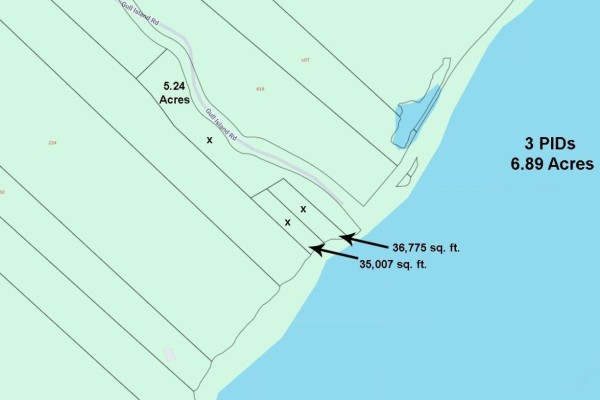 Acreage (3 Pids) Gull Island Road, White Point, NS B0T1K0 Photo 5