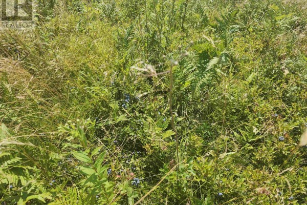 Acreage 48 Road, Baldwin Road, PE C0A1G0 Photo 4