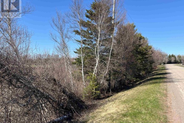 Edge of a grassy field with birches and pine trees beside a paved road on a sunny day. - Acreage Blooming Point Road, Pid 1152982, Blooming Point