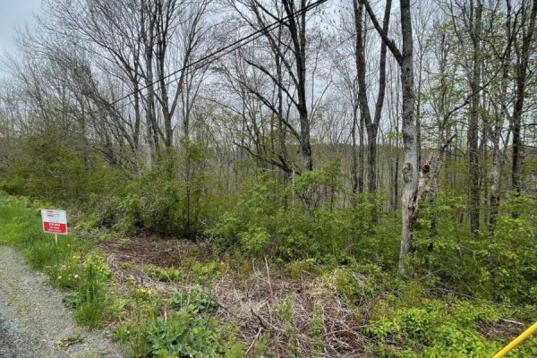 Acreage Brierly Brook Road, Antigonish, NS, photo 2