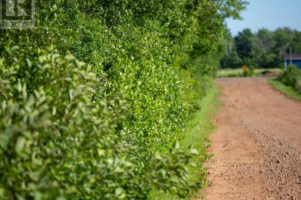 Acreage Campbell Road, Whim Road, PE C0A1R0 Photo 5
