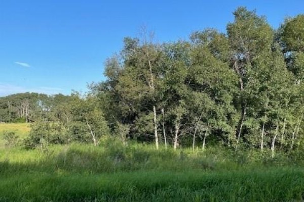 A gravel road bordering a grassy area with a dense line of trees. - Acreage Lot, Corman Park Rm No  344