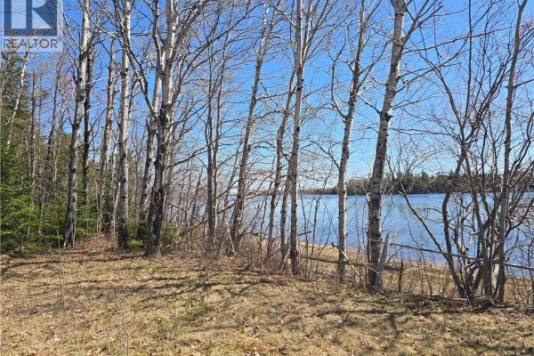 Acreage North Black River Road, Black River Bridge, NB E1N5T3 Photo 4