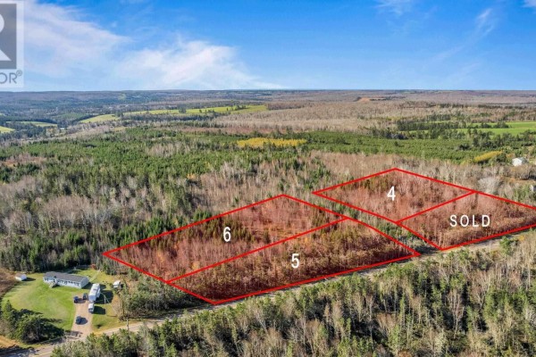 Acreage Pe-225, Hartsville, PE C0A1Y0 Photo 4