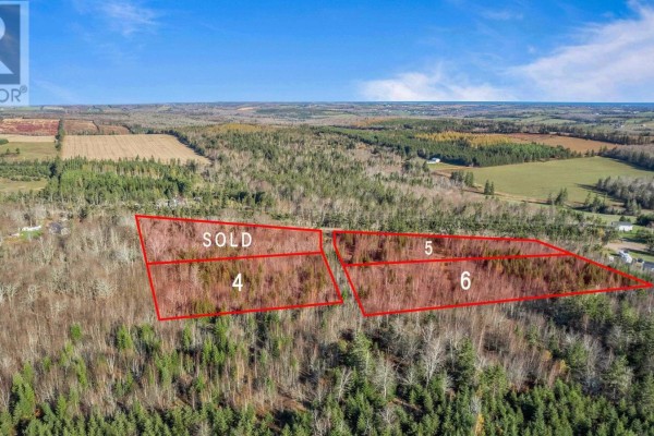 Acreage Pe-225, Hartsville, PE C0A1Y0 Photo 5
