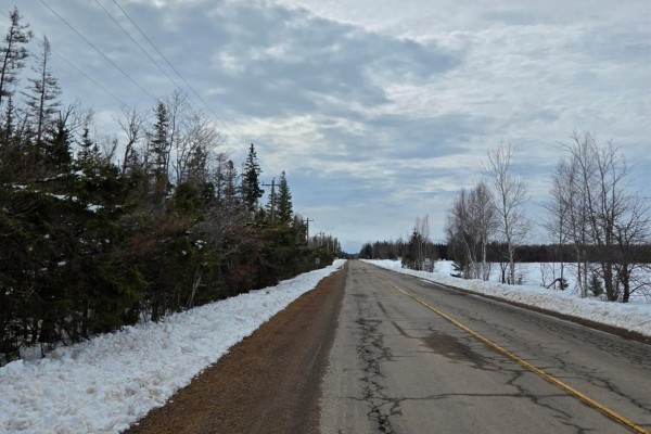 Paved road lined with snow and trees, leading into the distance under a cloudy sky. - Acreage Roseberry Road, Belfast