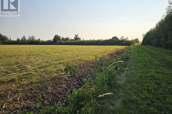 Acreage Route 2, Carleton, PE C0B1H0 Photo 5