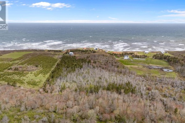 Acreage Shore Road, Cable Head West, PE C0A2A0 Photo 5