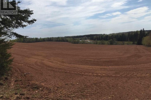Acreage South Melville Road, Rte 246, Desable, PE C0A1J0 Photo 5