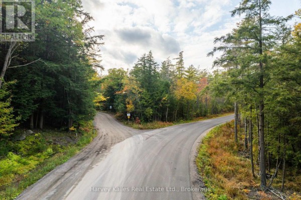 Across From 1210 Rostrevor Road, Muskoka Lakes, ON P0B1P0 Photo 4