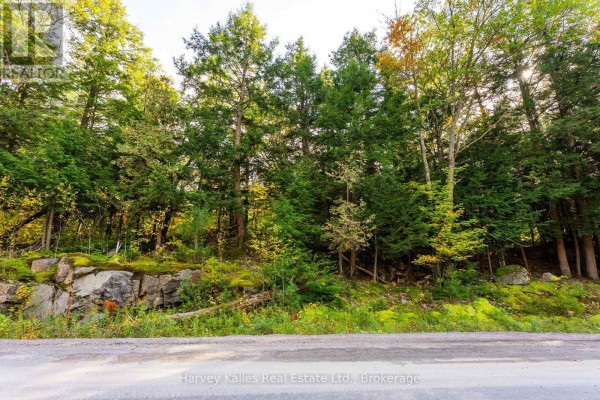 Across From 1210 Rostrevor Road, Muskoka Lakes, ON P0B1P0 Photo 5