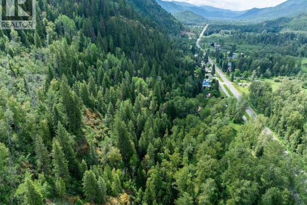Airport Road Lot# 38, Salmo, BC V0G1Z0 Photo 4