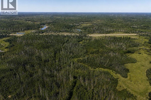 Alberta Provincial Highway 58, Rural Mackenzie County, AB T0H1Z0 Photo 4