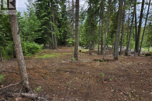 Aspen Road Lot# 331, Anglemont, BC V0E1M8 Photo 4