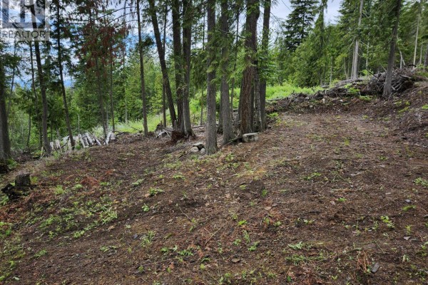 Aspen Road Lot# 331, Anglemont, BC V0E1M8 Photo 5