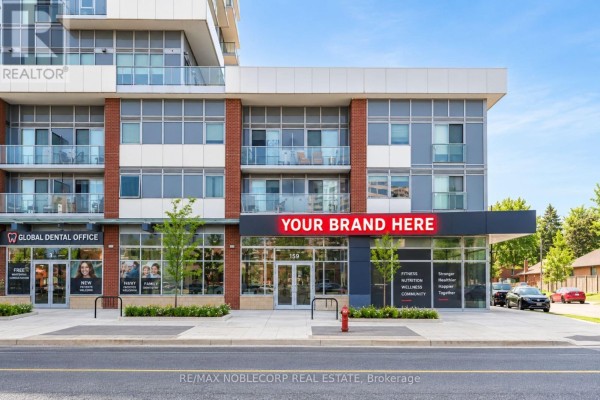 B - 205 Queen Street E, Brampton, ON L6W0C8 Photo 3