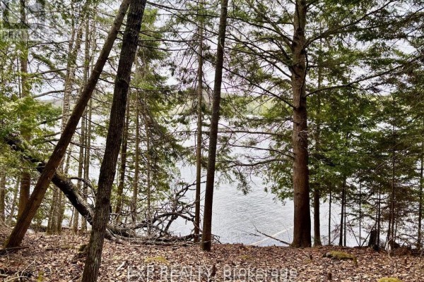 B Lot Arbor Vitae Road, Madawaska Valley, ON, photo 2