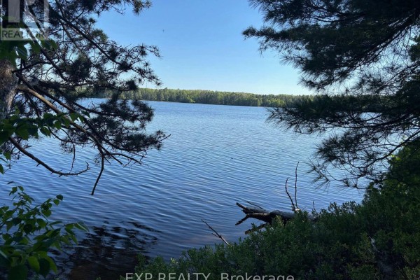 B Lot Arbor Vitae Road, Madawaska Valley, ON, photo 3