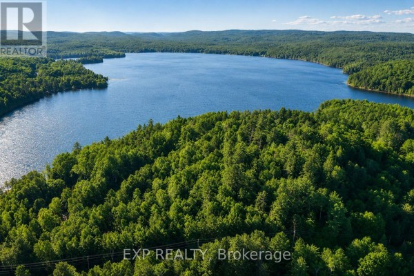 B Lot Arbor Vitae Road, Madawaska Valley, ON K0J1B0 Photo 4