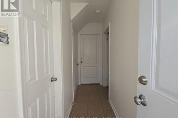 Living room - B-basement - 26 Ironwood Road, Toronto, ON M9M2A5 Photo 3