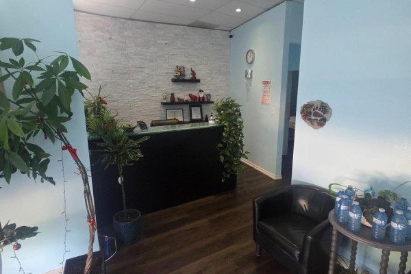 B1 - 1020 Johnson's Lane, Mississauga, ON L5J2P7 Photo 3