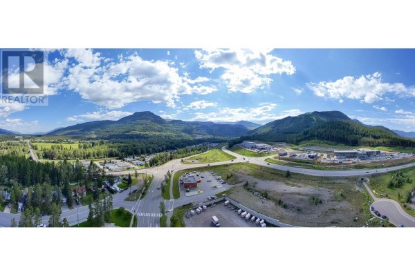B101 Aspen Drive, Sparwood, BC V0B1G0 Photo 4