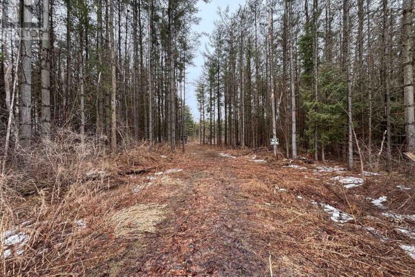 B1780 Thorah Concession 3 Road, Brock, ON L0K1A0 Photo 4