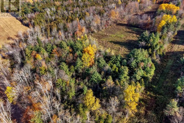 B2 Pipeline Road, Cramahe, ON K0K1M0 Photo 5