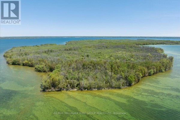 B40178 Shore Road, Brock, ON L0K1A0 Photo 5