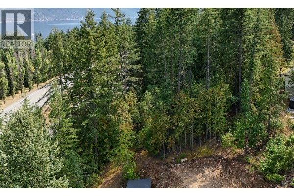 View of a secluded area within dense trees, showing a small clearing. - Balfour Avenue Lot# Lot 8, Kaslo