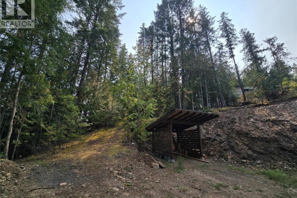 Pathway through dense forest vegetation, leading into the lot. - Balfour Avenue Lot# Lot 8, Kaslo