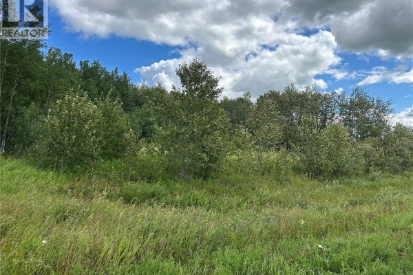 Ball Recreation Land, Clayton Rm No  333, SK S0A3X0 Photo 2