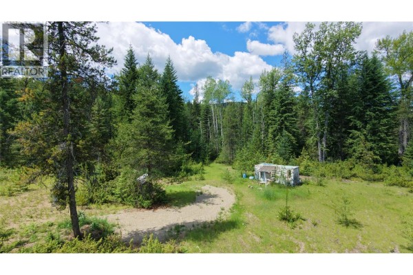 Barnes Creek Forest Service Road Lot# 34, Needles, BC V0G1J0 Photo 5