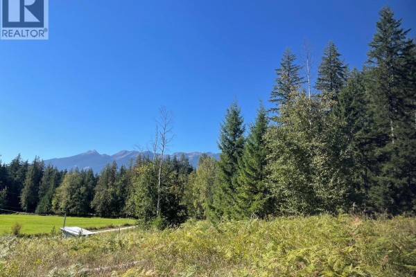 Bartley Road, Nakusp, BC V0G1R0 Photo 2