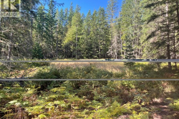 Bartley Road, Nakusp, BC V0G1R0 Photo 3