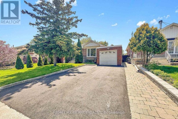 Bedroom - Basement - 22 Lingarde Drive, Toronto, ON M1R1X6 Photo 2