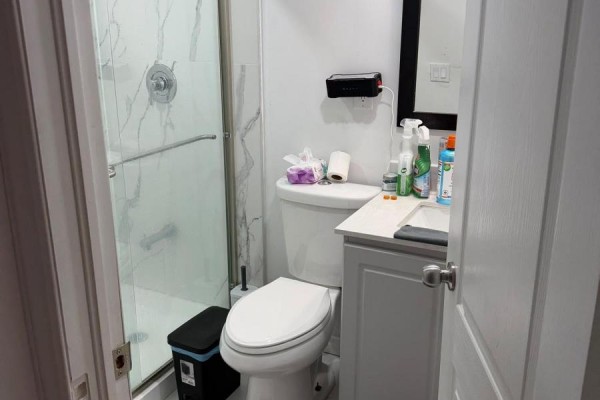 Basement - 231 Baseline Road W, London South, ON N6J1V9 Photo 5