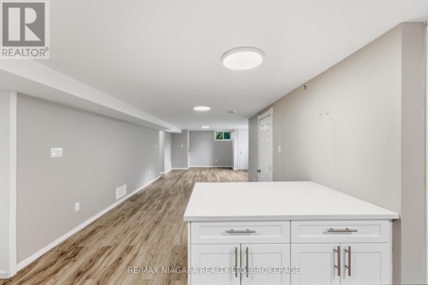 Basement - 250 Grantham Avenue, St  Catharines, ON, photo 3