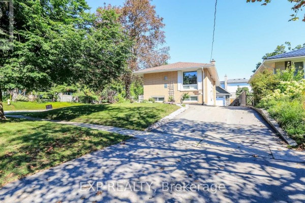Basement - 258 Napier Street, Barrie, ON, photo 3