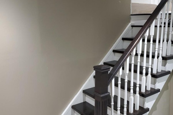 Wooden staircase with dark treads, white risers, and a white balustrade leading down to the basement. - Basement - 27 Karen Miles Crescent, Markham