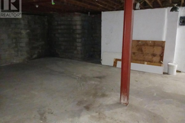 Basement - 3126 Dundas Street W, Toronto, ON M6P2A1 Photo 4