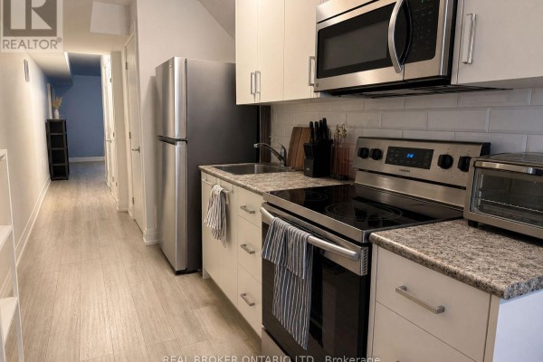 Basement - 334 Monarch Park Avenue, Toronto, ON, photo 3