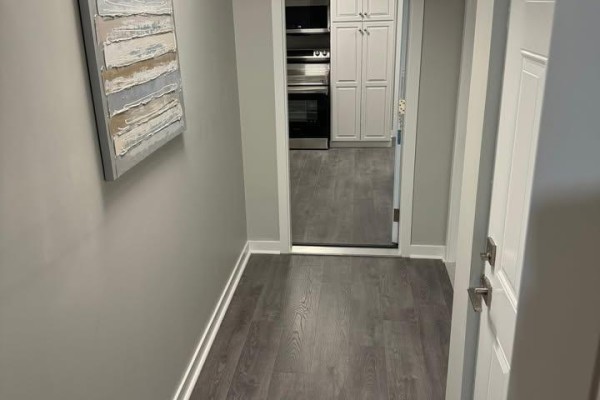 Basement - 348 Springbrook Avenue, Hamilton, ON, photo 3