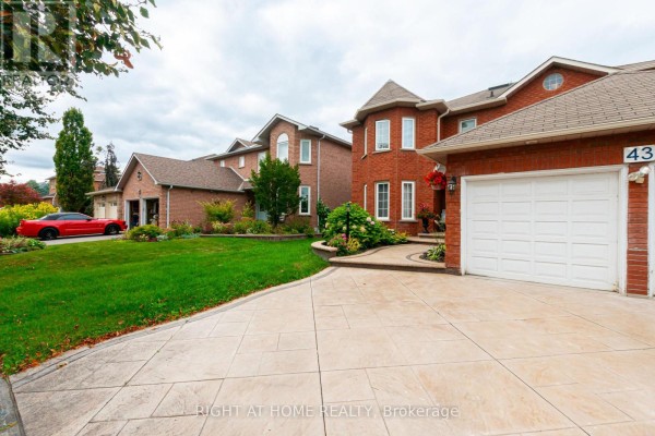 Basement - 43 Greenbush Place, Whitby, ON, photo 3