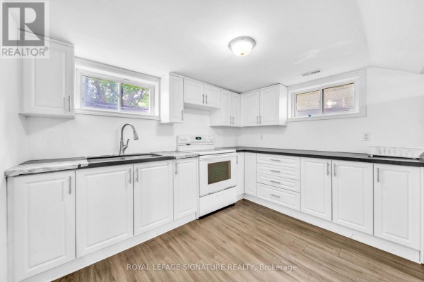 Basement - 43 Parkside Drive, Newmarket, ON, photo 2