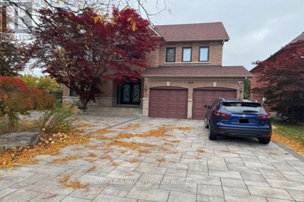Basement - 45 Fern Avenue, Richmond Hill